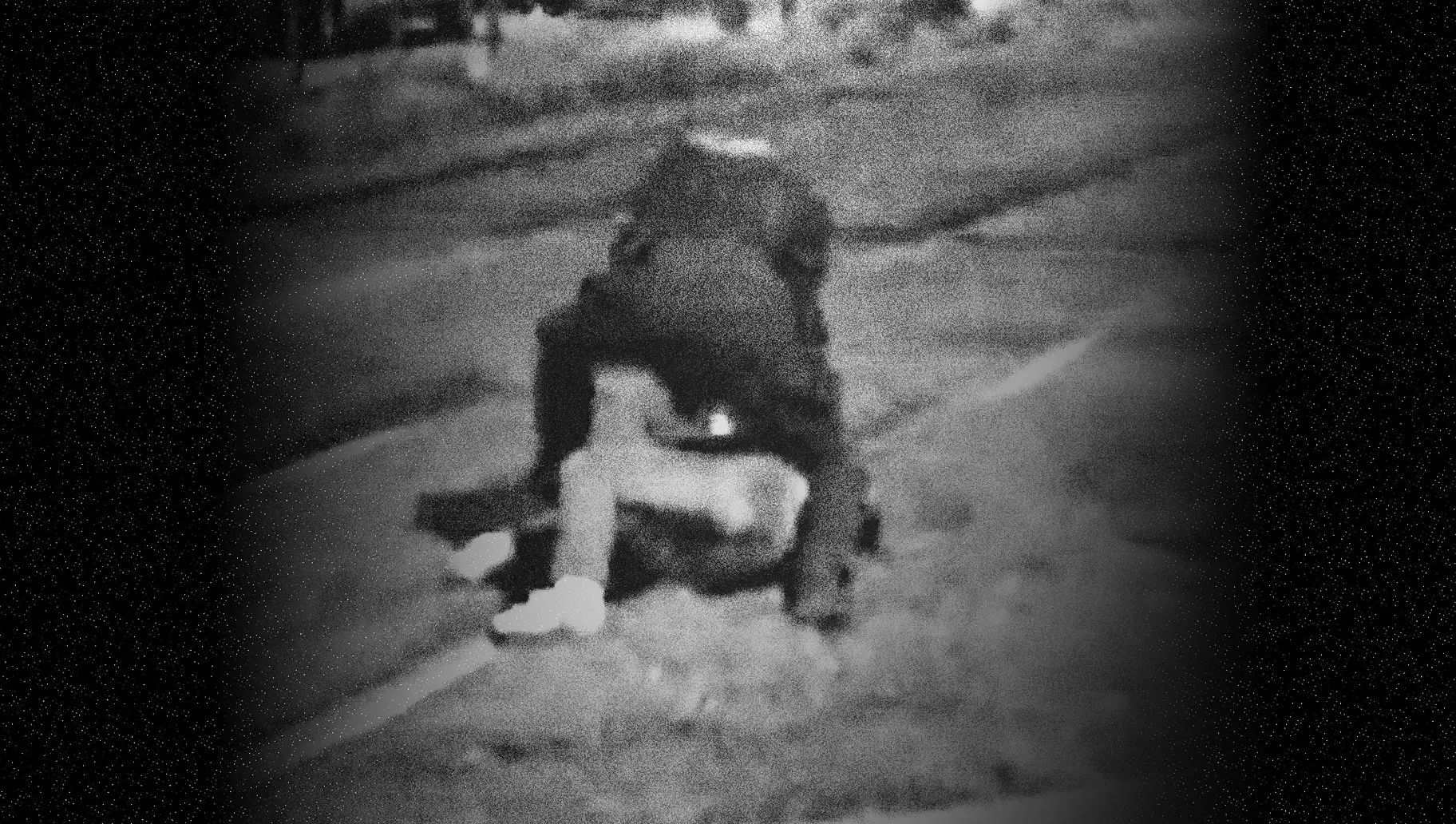 Voir Une travailleuse sociale violemment interpellée par la police municipale de Saint-Denis